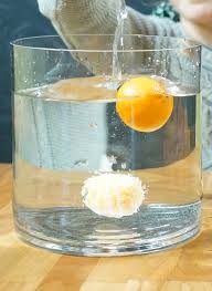 buoyancy for kids: will it sink or