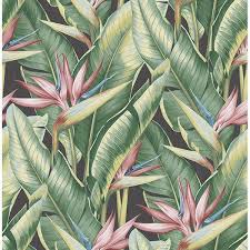 Tropical Birds Of Paradise Wallpaper Bird Of Paradise Wallpaper Banana Leaf Wallpaper Leaf Wallpaper Paradise Wallpaper