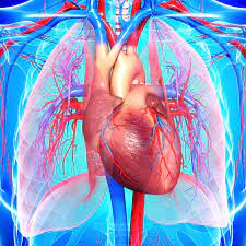 Heart Disease Symptoms Causes Diagnosis And Treatment