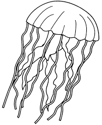 Jellyfish Coloring Page For Children Medusa Printable Image Under The Sea Coloring Pag Fish Coloring Page Coloring Pages Inspirational Abstract Coloring Pages
