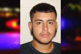 Mario Favela-Corral — Henry County Jail Bookings