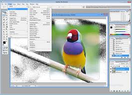 Looking to edit all those photos you have? Adobe Photoshop Cs2 Professional Image Editing