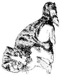 Elke dag vind je een unieke deal van een leuk bedrijf in jouw stad met meer dan 50% korting! Kleurplaat Poezen En Katten Poes Hond Kat Katten Kleurplaten
