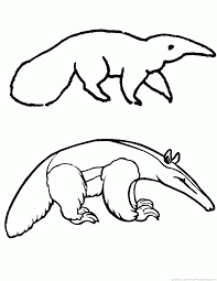 Giant anteater coloring page (1) the giant anteater 1 coloring page is available for free for you to print or/and color online. Anteater Coloring Pages