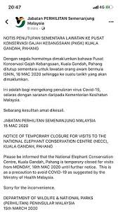 If your priority is animal welfare and conservation then i advise that you avoid this place. Notice Of Temporary Closure For Visits To The National Elephant Conservation Centre Necc Kuala Gandah Pahang Please Be Informed That The National Elephant Conservation Centre Kuala Gandah Pahang Is Temporary Closed For Visits From