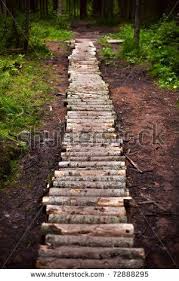 Winding Forest Wooden Path Walkway Through Wetlands Walkways Paths Wooden Path Outdoor Pathways