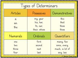 Types Of Determiners English Collocations English