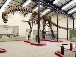 This dinosaur is known from very limited fossil remains, and to date, no one. Titanosaur Size Length Facts Britannica