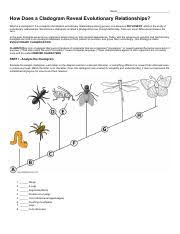 Cladogram Analysis Pdf Name How Does A Cladogram Reveal Evolutionary Relationships What Is A Cladogram It Is A Diagram That Depicts Evolutionary Course Hero
