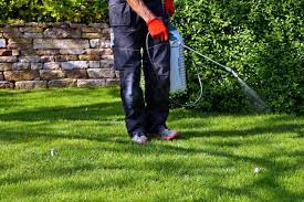 When it comes to lawn care, you have options. How Much Does Trugreen Actually Cost All Plans Compared