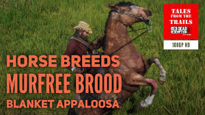 After completing the quest gilded cage. Rdr2 Horse Breeds Murfree Brood Blanket Appaloosa 1080p Hd Red Dead Redemption 2 Youtube