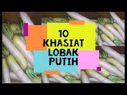Lobak putih yang memiliki nama latin raphanus sativus merupakan sayuran yang kaya akan kandungan serat dan vitamin c. 10 Khasiat Terbaik Lobak Putih Youtube