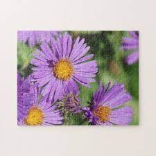 New England Aster Flower Puzzle Fun Gifts Funny Diy Customize Personal Flower Puzzles It Is Well With My Soul Aster Flower