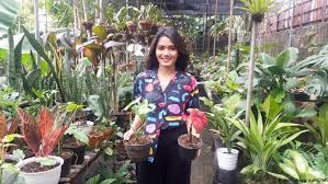Adenium kurang lebih sama dengan tanaman lain. Tambah Penghasilan Dengan Menjual Tanaman Hias Indonesia Laporan Topik Topik Yang Menjadi Berita Utama Dw 24 12 2020