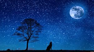 You can also upload your favorite hd backgrounds using resister link. Moon 4k Wallpapers Wallpaper Cave