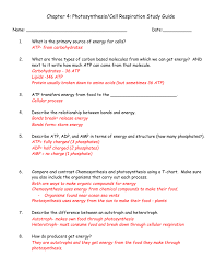 Here's a ten question quiz you can take to test your cellular respiration knowledge. Worksheet Photosynthesis And Cell Energy Biology Answers Promotiontablecovers