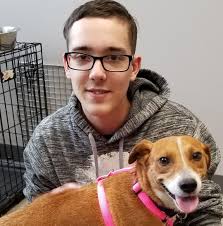 About Us — Dispatch Trucking