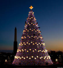 The Ultimate Guide To The World S Best Christmas Trees Cool Christmas Trees Amazing Christmas Trees Christmas Tree Decorations