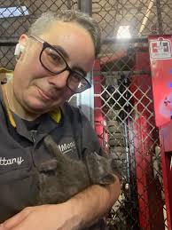 🚗🤯💰𝐄𝐌𝐏𝐋𝐎𝐘𝐄𝐄 𝐏𝐑𝐈𝐂𝐈𝐍𝐆 𝐎𝐍 𝐎𝐔𝐑 𝐄𝐍𝐓𝐈𝐑𝐄  𝐈𝐍𝐕𝐄𝐍𝐓𝐎𝐑𝐘! This month, you pay what we pay! Whether you're looking  for a Silverado, Tahoe, Blazer... You name it, we're offering employee  pricing. Stop by and see