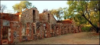 Maybe you would like to learn more about one of these? Wonderboom Nature Reserve Pretoria South African History Online