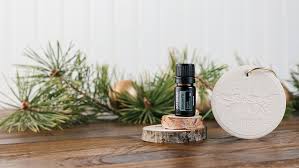 The cones are normally abundant in the top study the cones of the seven kinds of spruces to discern these trees from other evergreens. Balsam Fir Oil Uses And Benefits DÅterra Essential Oils