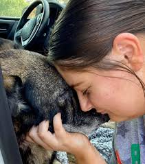 Goodmorning and happy Tuesday! Jagger fox wants to help answer questions  today! What questions do you have about foxes, our mission, etc?! Let us  know in the comments, and we will try