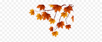 Hello autumn scarecrow animated autumn leaves fall gif scarecrow fall greeting autumn greeting. Free Animated Autumn Leaves Clipart Transparent Autumn Leaf Gif Png Falling Leaves Gif Transparent Free Transparent Png Images Pngaaa Com