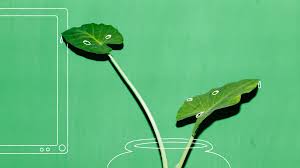 But it doesn't have to be that way. 7 Life Hacks For Your Service Desk