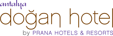 In a blog titled the spoon theory, christine miserandino describes how she showed her friend what it's like to have lupus. Hello World Dogan Hotel De