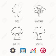 Pine Tree Oak Tree Icons Forest Trees Linear Sign Calendar