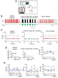 Circuit Specific Early Impairment Of Proprioceptive Sensory