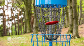 Beginner Disc Golf Clinic