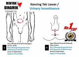 Tanda kencing kotor semasa hamil. Cara Guna Untuk Kencing Tak Lawas How To Use For Urinary Incontinence Penaward