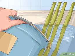 Cara membuat sangkar burung bulat, cara membuat sangkar dari bambu dengan bentuk bulat sangat mudah, biasanya untuk sangkar burung pleci, ssangkar pleci cungkok bambu, cara membulatkan membengkokan bambu. 3 Cara Untuk Membengkokkan Bambu Wikihow