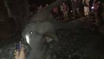 Train mows down five elephants