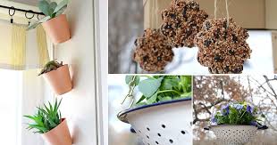 It will take two years for the orchid to outgrow this pot. 10 Diy Command Hook Ideas For The Garden Balcony Garden Web
