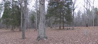 052 NEW HOPE PRESBYTERIAN CHU Orange County North Carolina Cemeteries