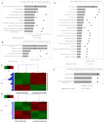 @sassenachspirit txt me +1 310 356 3929. Glipr1 And Sparc Expression Profile Reveals A Signature Associated With Prostate Cancer Brain Metastasis Sciencedirect