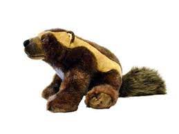 Pin By J Peaches On Wolverines Plush Animals Animals Wolverine