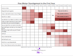 Motor Development In The First Year Beyond Mommying