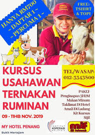 Bisa konsultasi usaha seumur hidup. Jamil Mjfatonah Mjfatonah Twitter