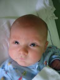 Gil Katahdin Millay Bergin