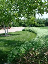 Liriope Beautiful Landscspe Outdoor Gardens Landscape Design Garden Inspiration