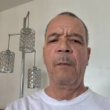 Neuroaesthetics: A Scientific Perspective by Leading Researchers