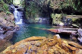Waterfall And Swimming Hole Garden Of Eden Mulu Gunung Mulu National Park Swimming Holes Waterfall