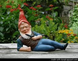 Gnome Gif Find Share On Giphy Cute Gif Saint Yves Garden