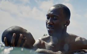 Things We're Digging This Week