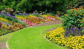 Start with the right tools. How To Clear Overgrown Land In Your Garden