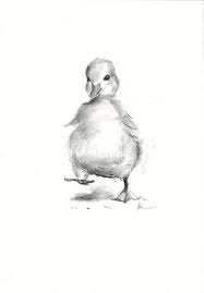 Duckling Original Charcoal Drawing Hand Drawn Little Duck Illustration Baby Animal Nursery Black And White Small Art Decor A5 Baby Animal Drawings Charcoal Drawing Animals Duck Illustration