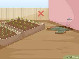 There is only one species of rat in new york city—the norway rat (rattus norvegicus). 3 Simple Ways To Keep Rats Out Of A Vegetable Garden Wikihow